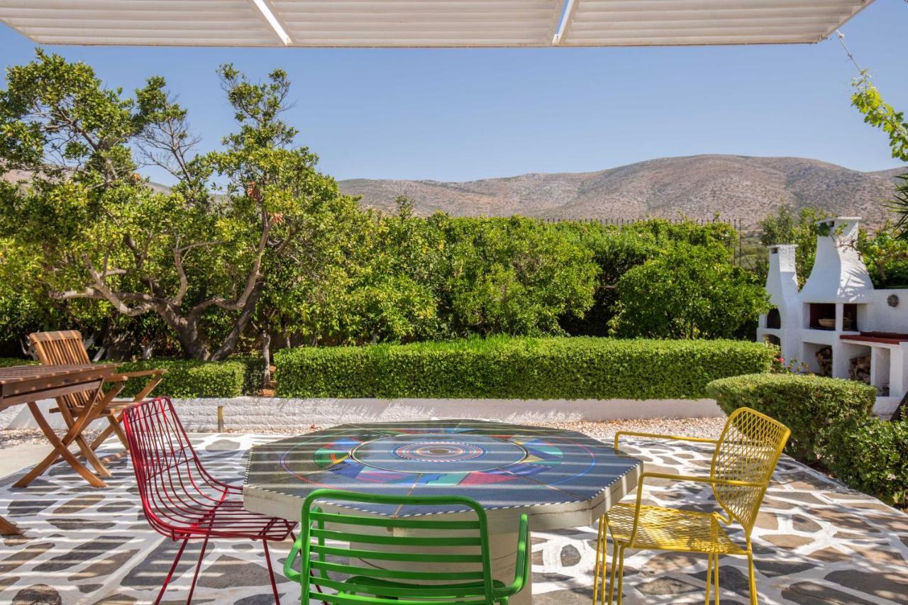 Villa Oasis With Large Pool Athenian Riviera Lagonissi Lagonisi Extérieur photo