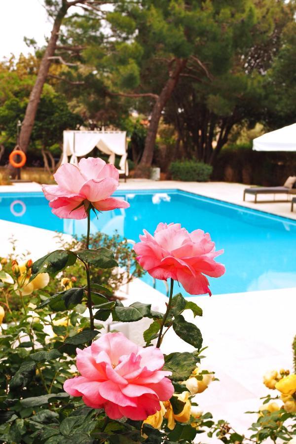 Villa Oasis With Large Pool Athenian Riviera Lagonissi Lagonisi Extérieur photo